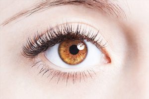 صلبیه (Sclera) یا سفیدی چشم