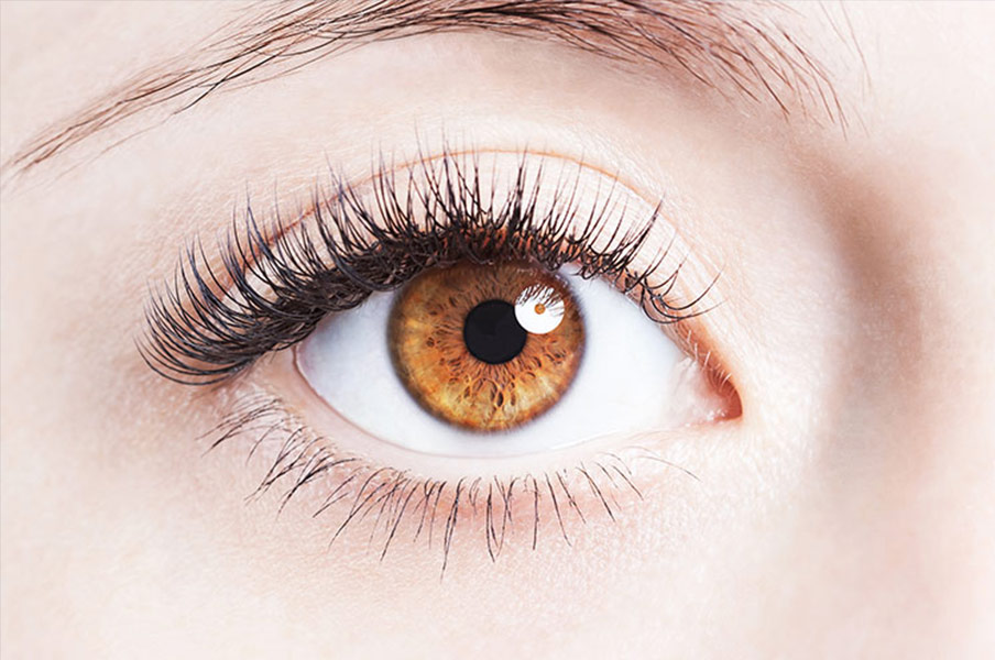 صلبیه (Sclera) یا سفیدی چشم