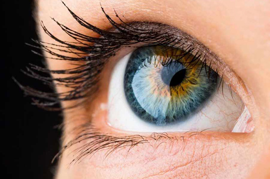عدسی چشم چیست و چرا با افزایش سن دچار مشکل می‌شود؟